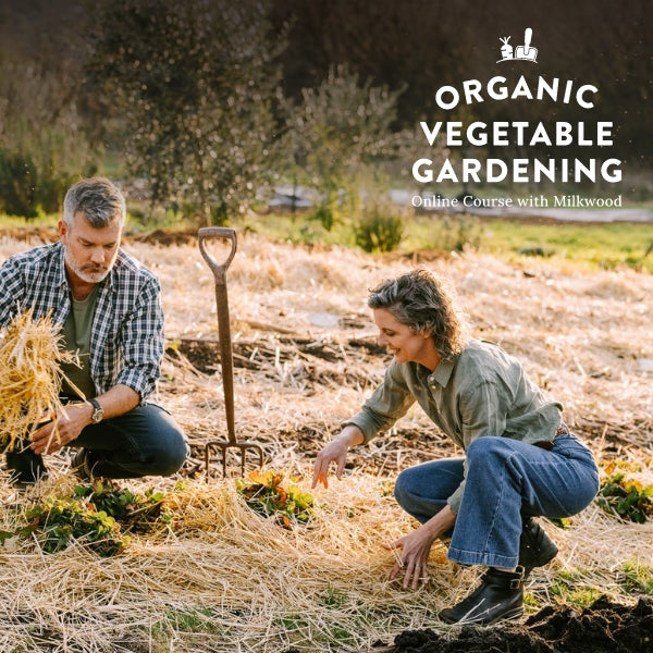 Organic Vegetable Gardening - online course