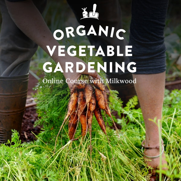 Organic Vegetable Gardening - online course