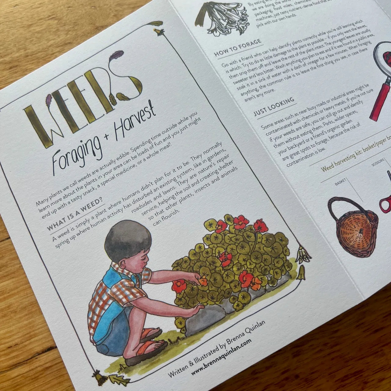 Weeds Zine - Brenna Quinlan