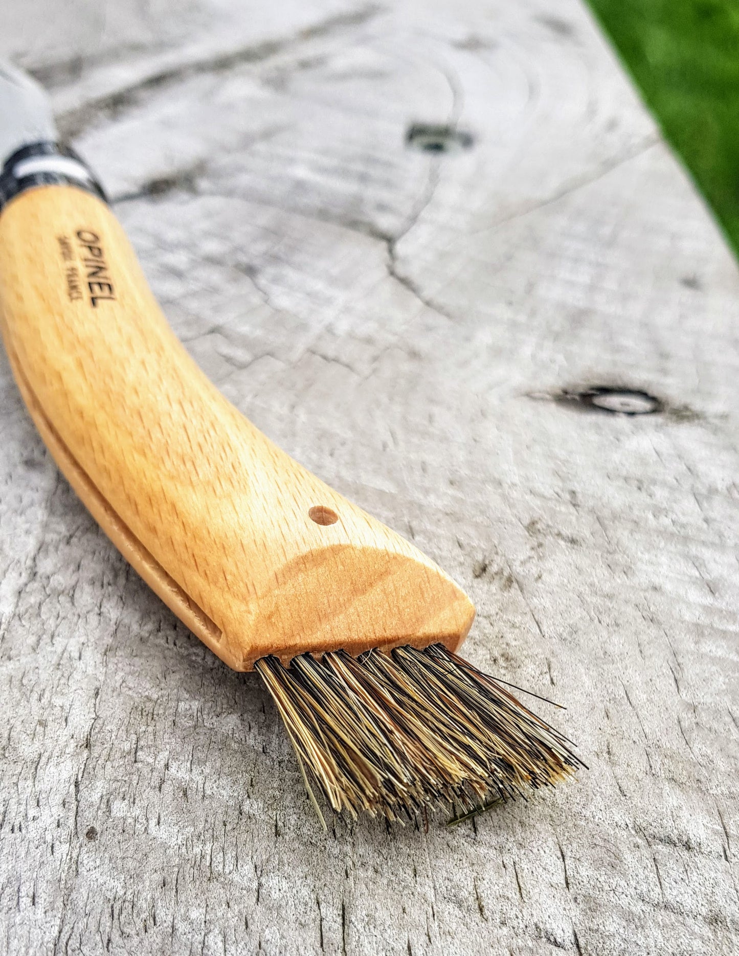Opinel No.8 Mushroom Knife