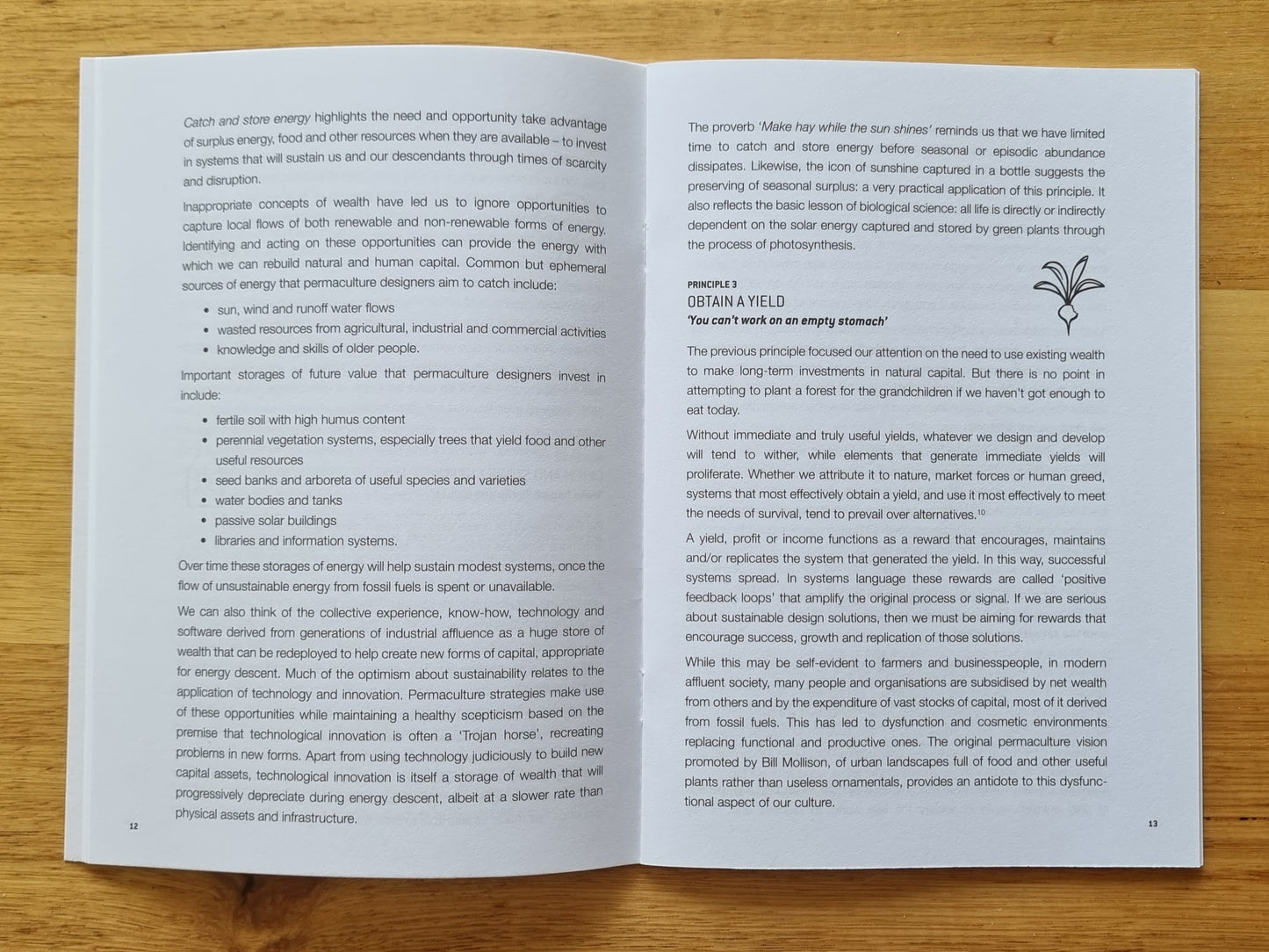 Essence of Permaculture: Revised Edition