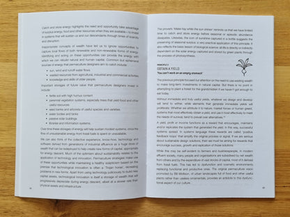 Essence of Permaculture: Revised Edition