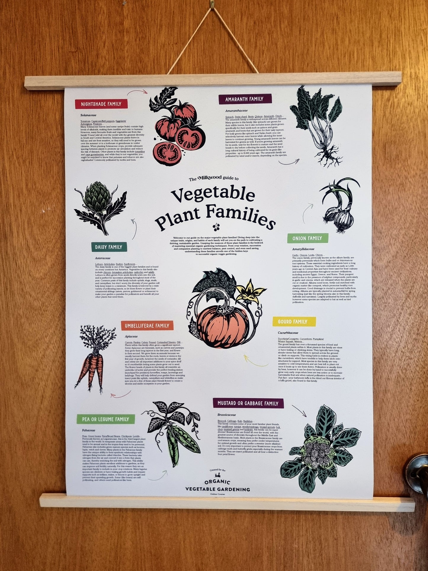 Vegetable Plant Families - Poster