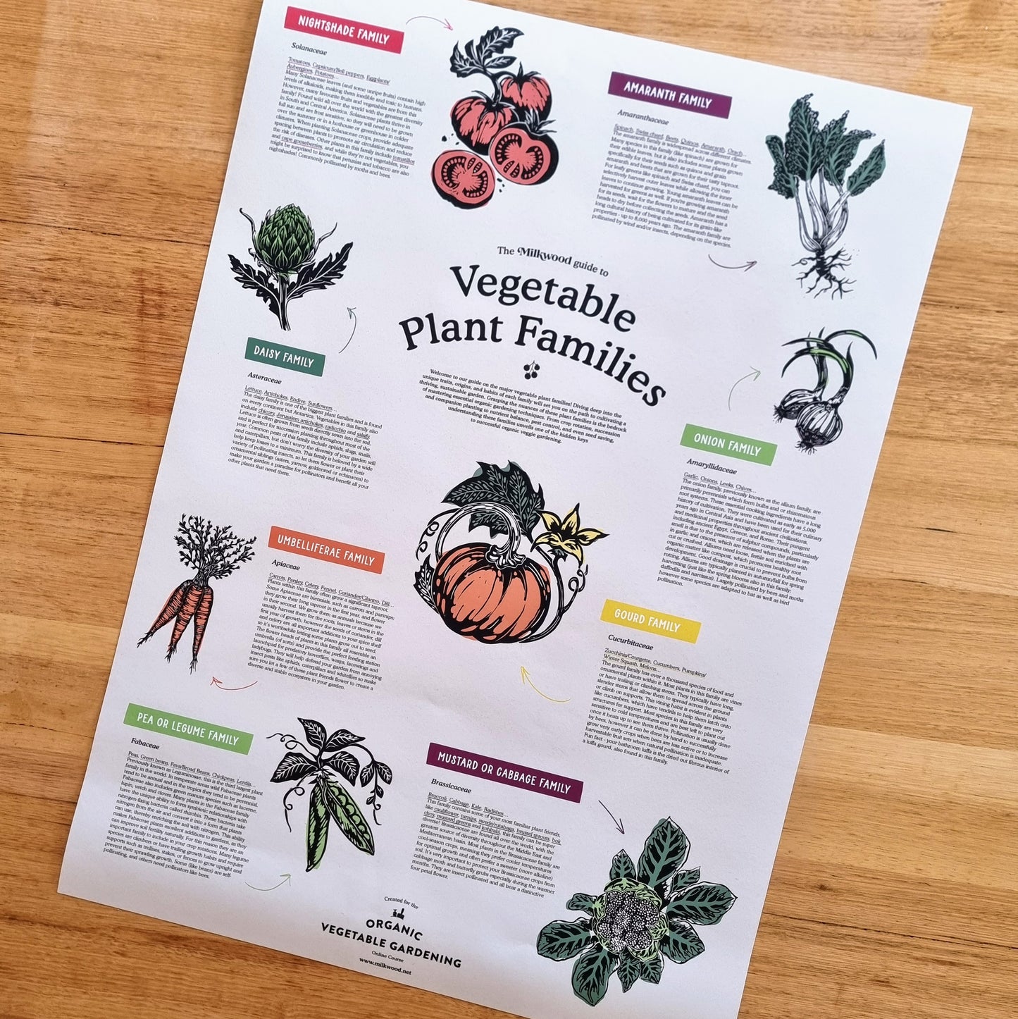 Vegetable Plant Families - Poster