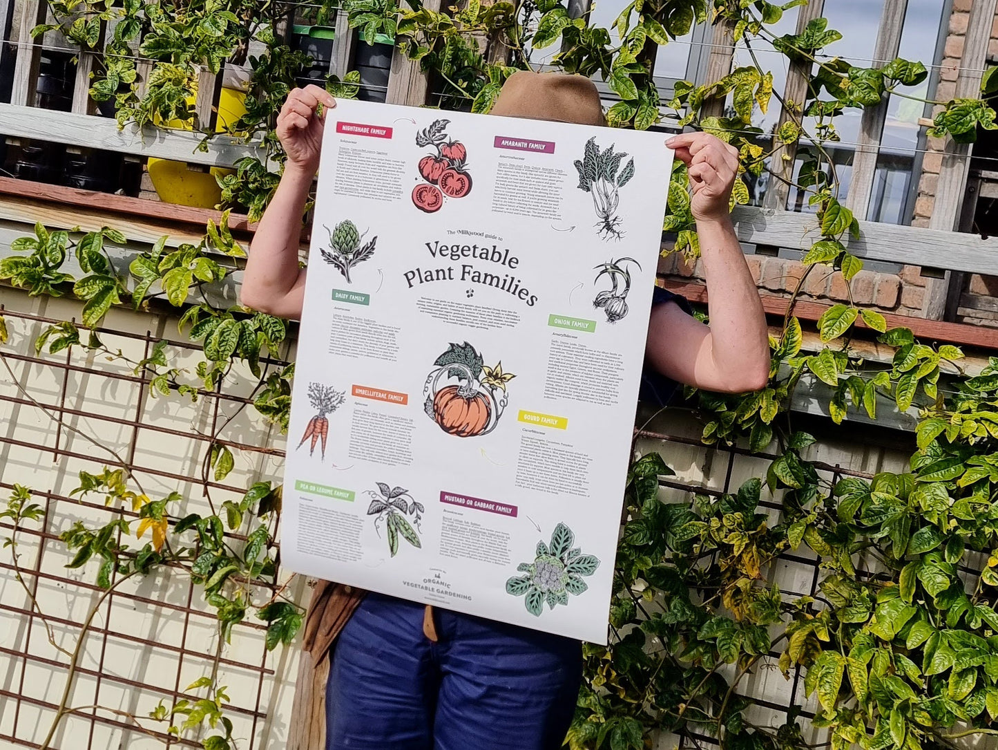 Vegetable Plant Families - Poster