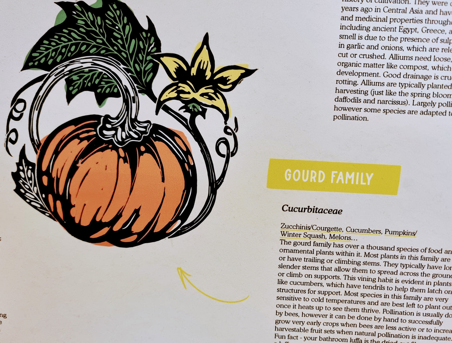 Vegetable Plant Families - Poster