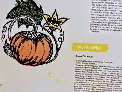 Vegetable Plant Families - Poster