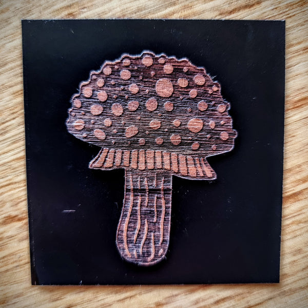 Wooden Mushroom Stickers - 5 Pack