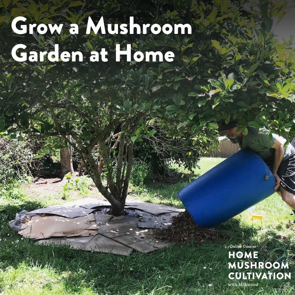 Grow a Mushroom Garden at Home - short course - online