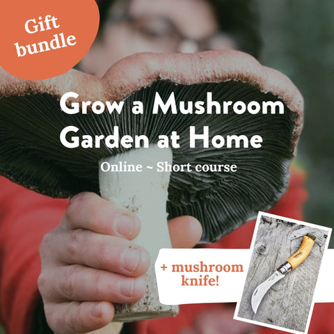 GIFT BUNDLE: Grow a mushroom garden at home + mushroom knife