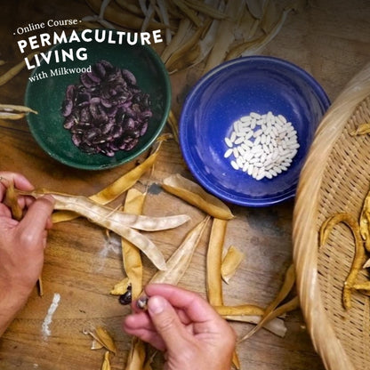 Permaculture Living - online course