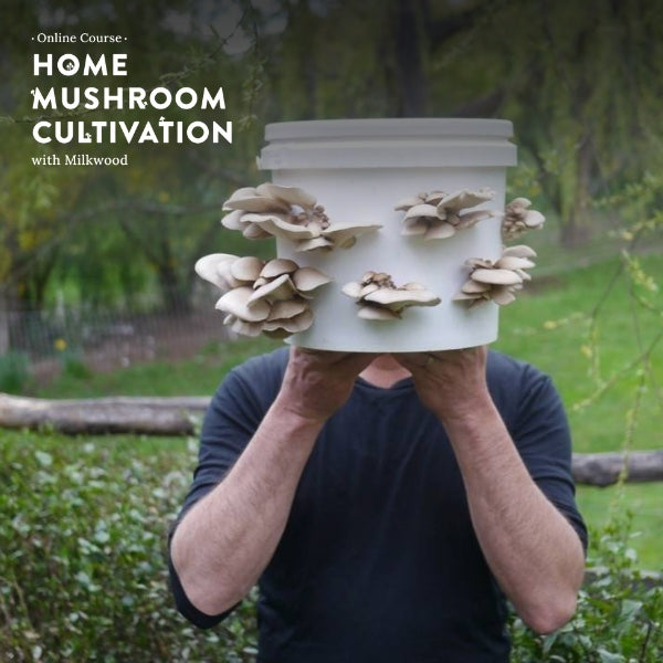 Home Mushroom Cultivation - online course