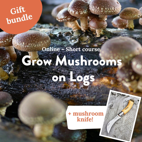 GIFT BUNDLE: Grow mushrooms on logs + mushroom knife