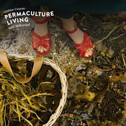 Permaculture Living - online course