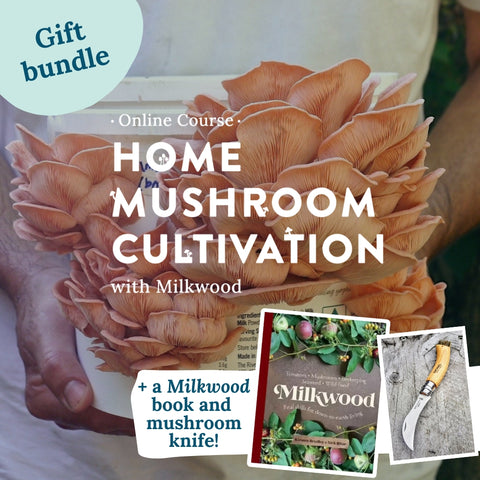 GIFT BUNDLE: Home Mushroom Cultivation course + Milkwood book + Mushroom knife
