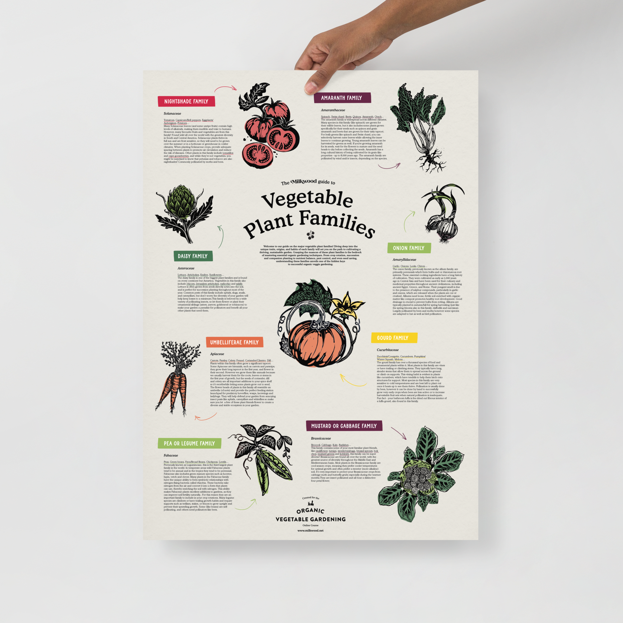 The Milkwood Plant Families Poster