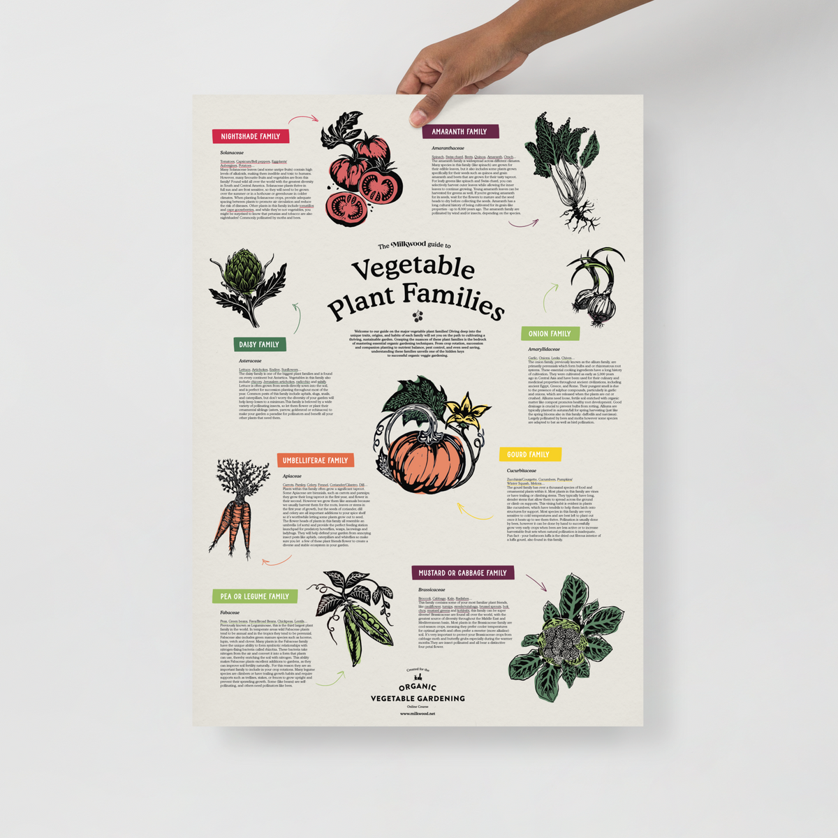 The Milkwood Vegetable Plant Families Poster The Milkwood Vegetable Plant Families Poster