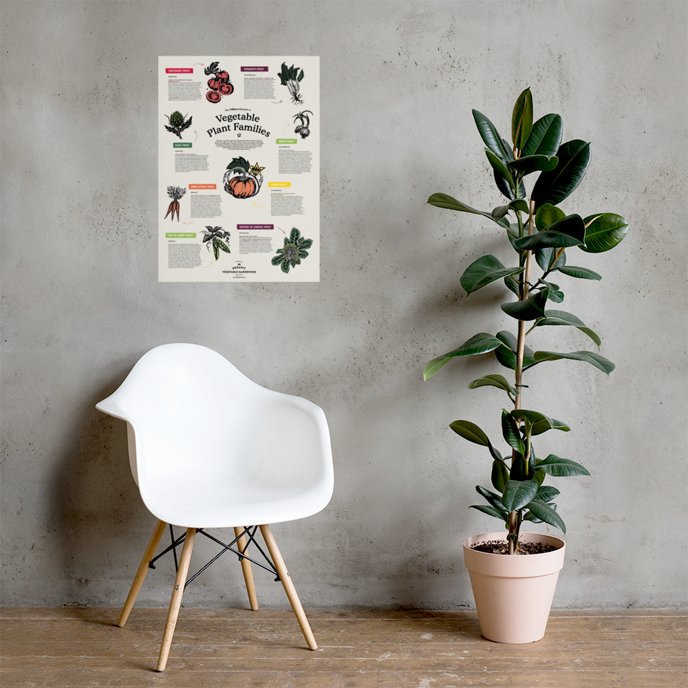 Vegetable Plant Families - Poster