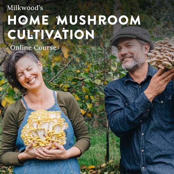 Home Mushroom Cultivation - online course