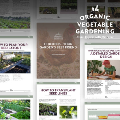 Organic Vegetable Gardening - online course