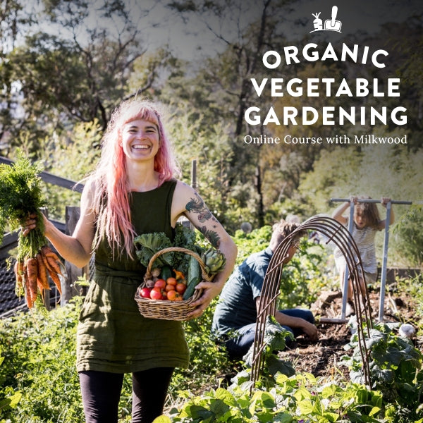 Organic Vegetable Gardening - online course