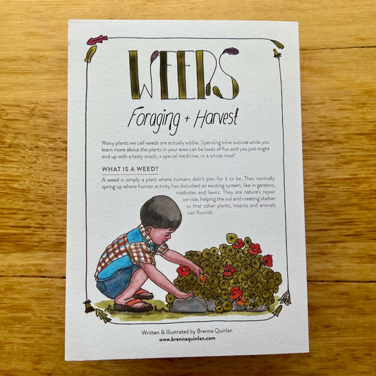 Weeds Zine - Brenna Quinlan