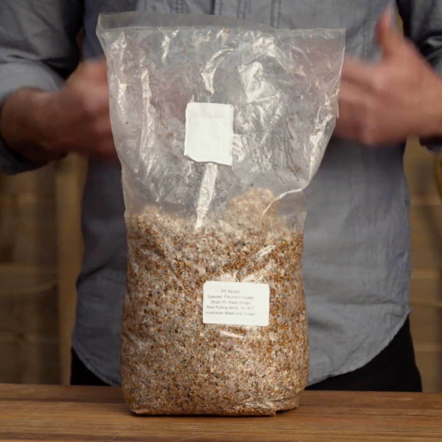 A bag of mushroom grain spawn labeled Pearl Oyster Mushroom. Pleurotus ostreatus