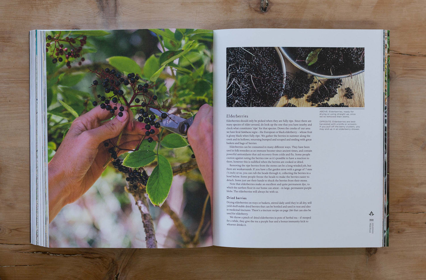 Milkwood – Real Skills for Down to Earth Living (signed copy)